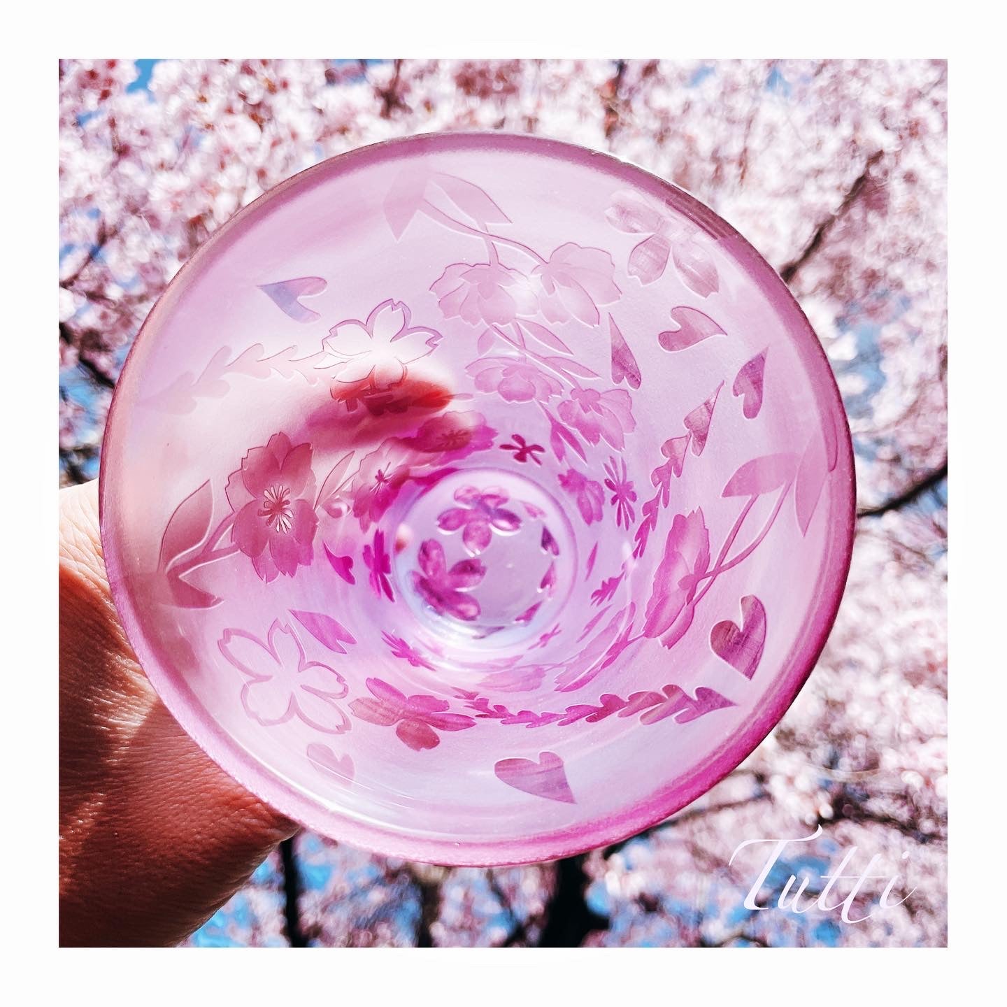 桜舞い散る春の陽気なグラス